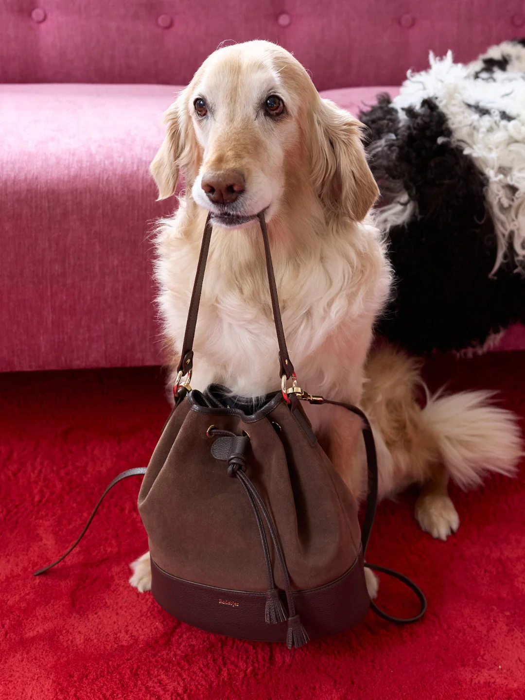 The Shell suede bucket bag - Image 3